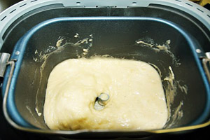 Breadman-520 bread maker reviews